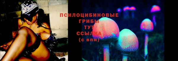 mix Арсеньев