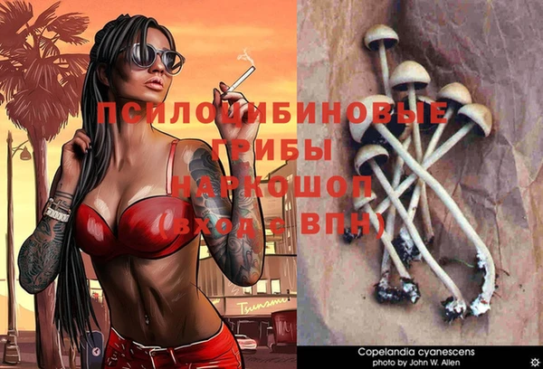 mix Арсеньев
