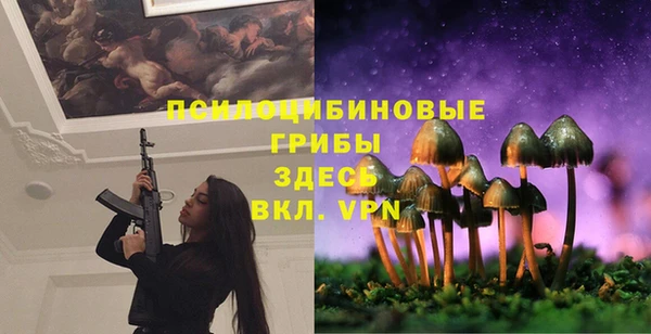 ECSTASY Покачи